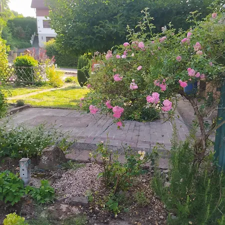 Du Rocher Du Faucon Le Renardeau 4 à 5 Personnes Muhlbach-sur-Bruche